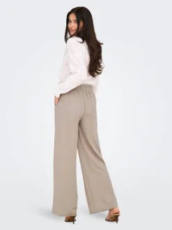 JDYBIRDIE Normal geschnitten Hose