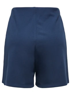 JDYGEGGO Normal geschnitten Shorts