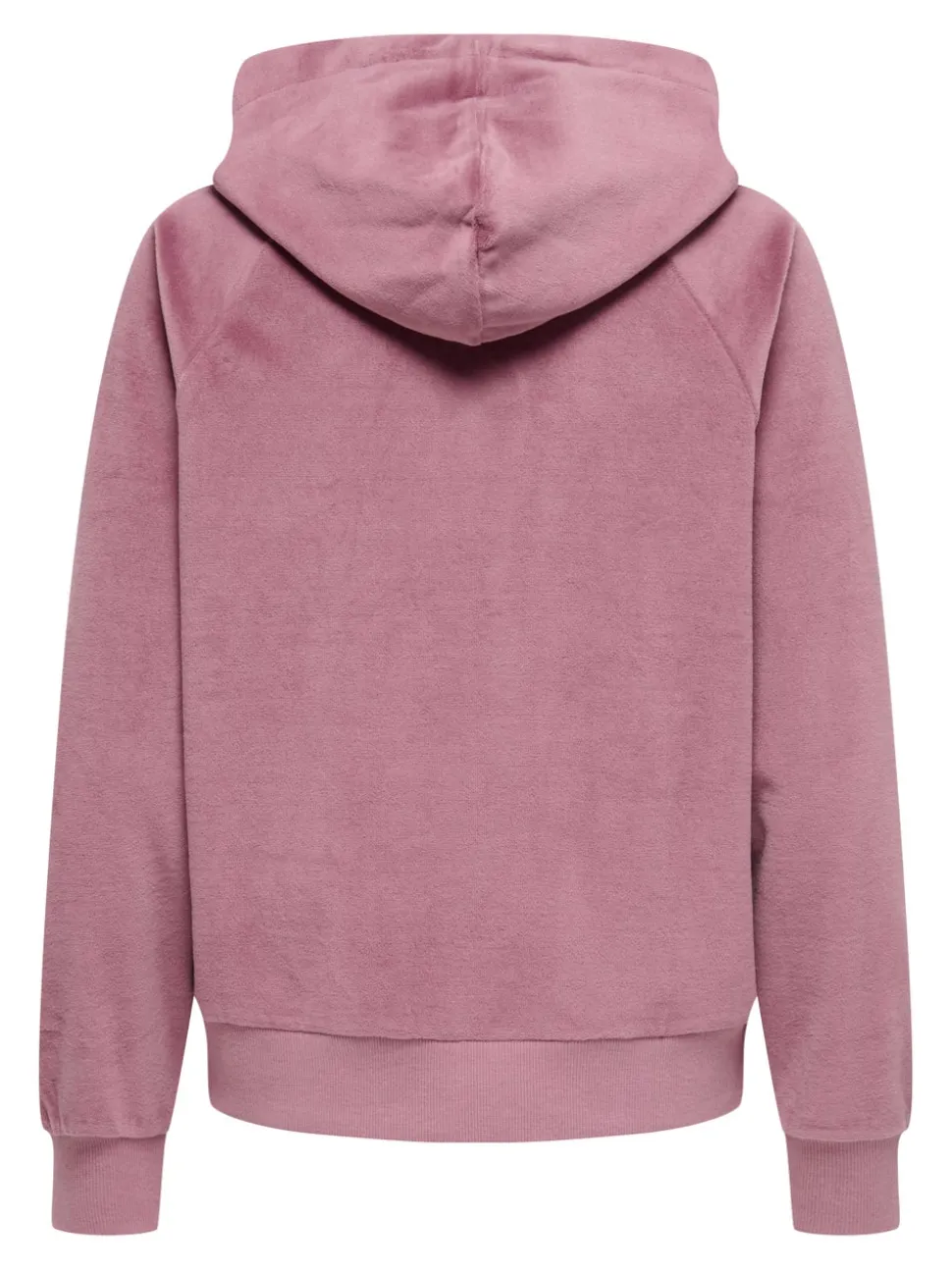 JDYVIDA Sweatshirt