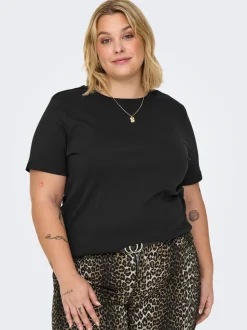 CARJEN Top