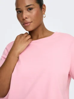 CARJEN Top