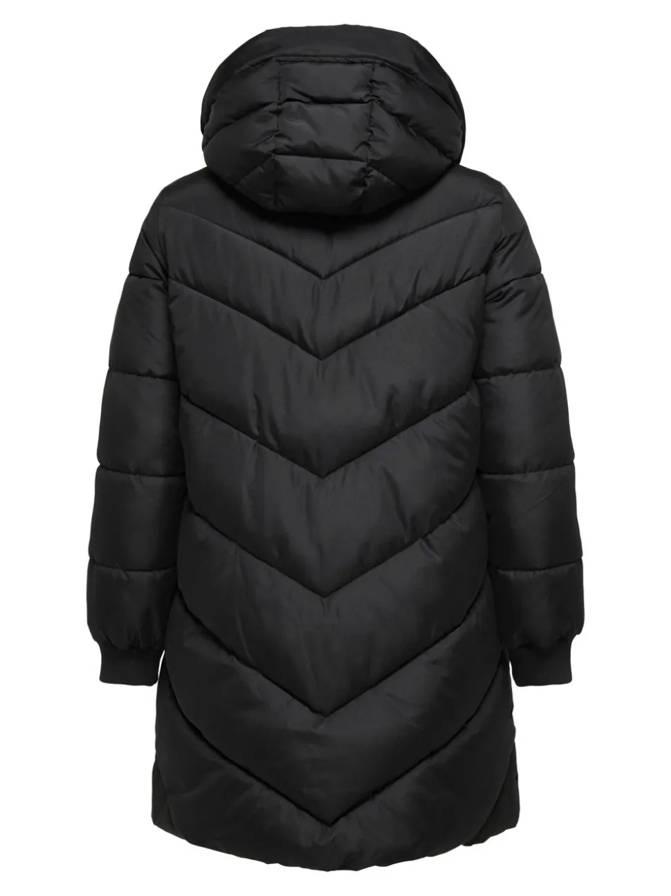 CARMOON Jacke