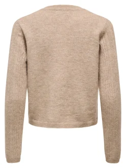 JDYAPRIL Strickjacke