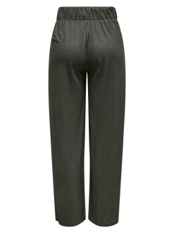 JDYBIRDIE Normal geschnitten Hose