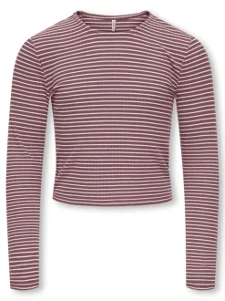 KOGPAMIA Top