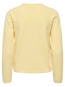 ONLLOYAL Strickjacke