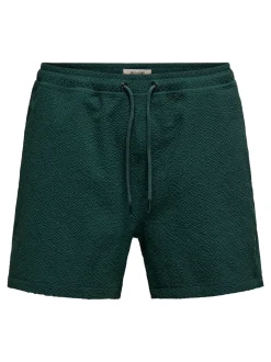 ONSTED Swim Shorts